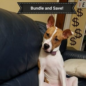 Bundle and Save!